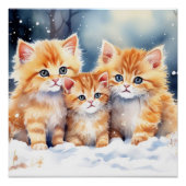 Fluffy Ginger Kittens Poster (Vorderseite)