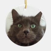 Fluffy Gray Cat Keramik Ornament (Vorne)