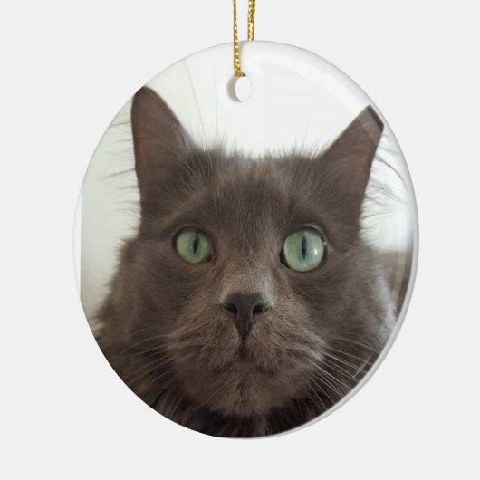 Fluffy Gray Cat Keramik Ornament (Links)