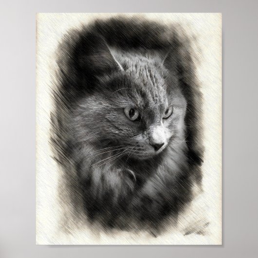 Fluffy Gray Cat Sketch - Soft Feline Portrait Art Poster (Vorne)