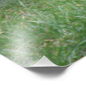 Fluffy Gray Eichhörnchen Foto Print (Ecke)