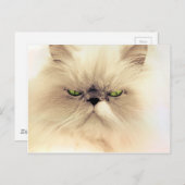 Fluffy Gruffy Kitty Postkarte (Vorne/Hinten)
