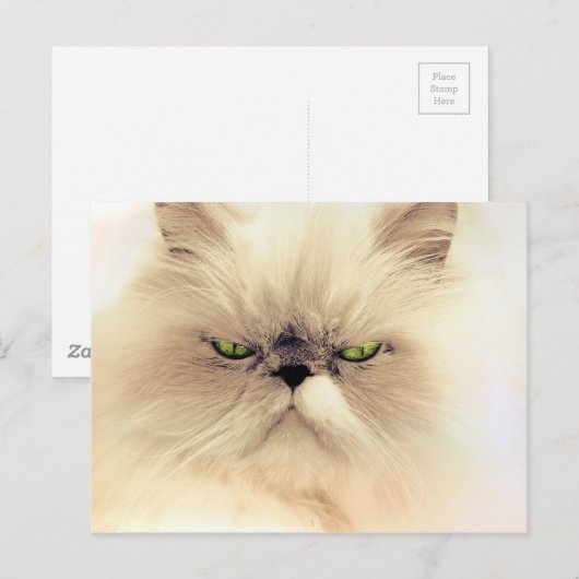 Fluffy Gruffy Kitty Postkarte (Vorne/Hinten)