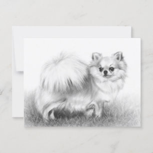 Fluffy - Handgemalte Chihuahua-Artwork Postkarte
