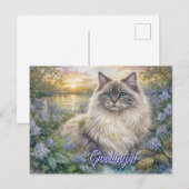 Fluffy Himalayan Cat In Purple Garden at Sunrise Postkarte (Vorne/Hinten)