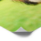 Fluffy Hund mit Big Eyes | Joyful Pet Image Poster (Ecke)