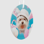 Fluffy Hund mit Weißhut Ornament (Vorderseite)