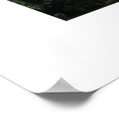 Fluffy im Fenster Poster (Ecke)