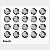 Fluffy Kitten Stickers (Blatt)