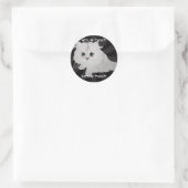 Fluffy Kitten Stickers (Tasche)