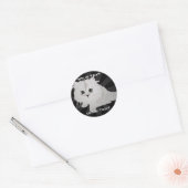 Fluffy Kitten Stickers (Umschlag)