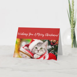 Fluffy Kitten Weihnachtskarte Feiertagskarte