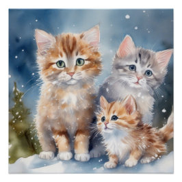Fluffy Kittens Poster