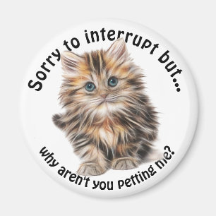 Fluffy Kitty Funny Pet Me Quote Magnet