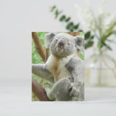 Fluffy Koala Postcard Postkarte (Stehend Vorderseite)