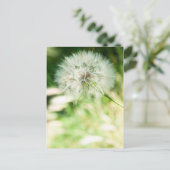 Fluffy-Leuchte Postkarte (Stehend Vorderseite)