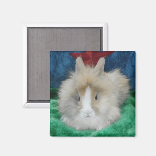 Fluffy Lionhead Bunny Rabbit Magnet (Vorderseite/Rückseite)