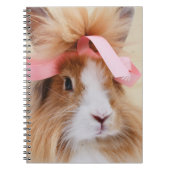 Fluffy Lionhead Bunny Rabbit Notizblock (Vorderseite)