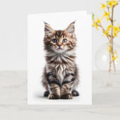 Fluffy Long-Hair-Maine-Coon-Cat-Blank-Gruß Karte (Gelbe Blume)