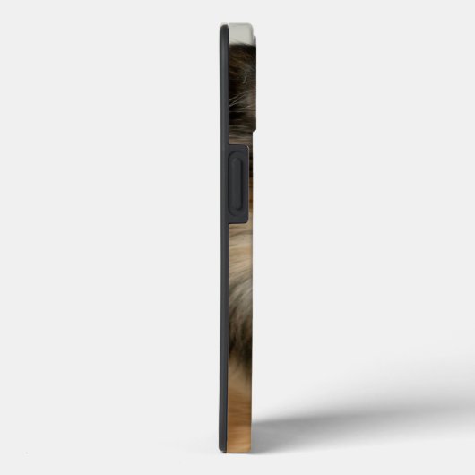 Fluffy Long Haired Chihuahua Puppy Dog Case-Mate iPhone Hülle (Rückseite / Rechts)