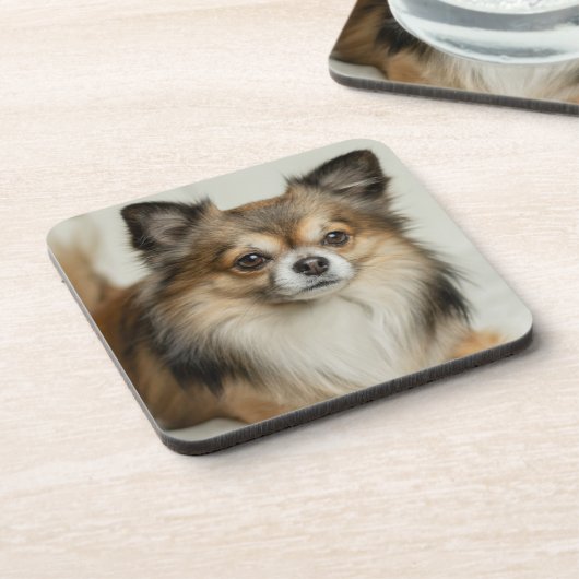 Fluffy Long Haired Chihuahua Puppy Dog Getränkeuntersetzer (Linke Seite)