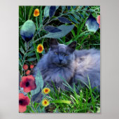 Fluffy Long Hairs Russian Blue Cat Poster (Vorne)