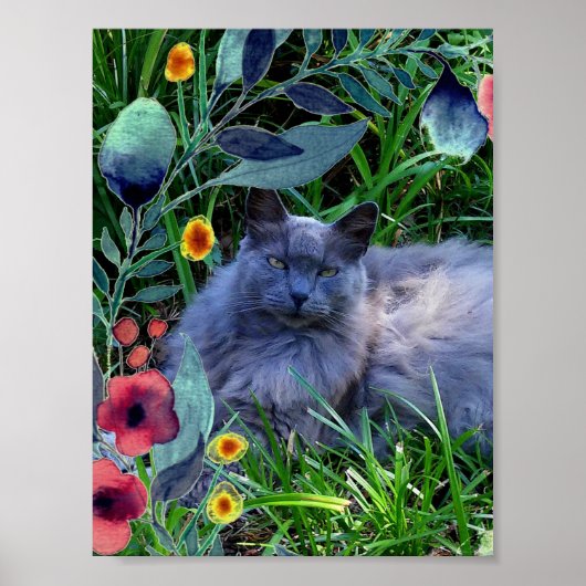 Fluffy Long Hairs Russian Blue Cat Poster (Vorne)
