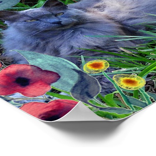 Fluffy Long Hairs Russian Blue Cat Poster (Ecke)