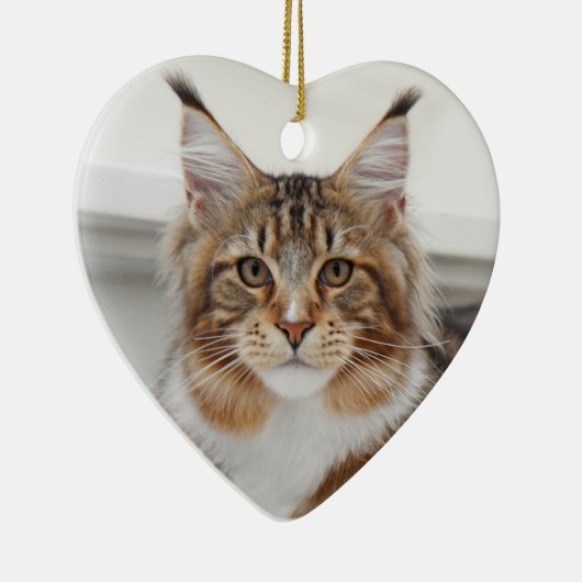Fluffy Maine Coon Cat Keramik Ornament (Rechts)