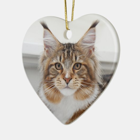 Fluffy Maine Coon Cat Keramik Ornament (Links)