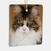 Fluffy Maine Coon Cat Keramikornament (Rechts)