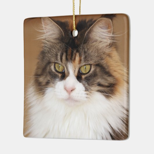 Fluffy Maine Coon Cat Keramikornament (Links)