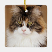 Fluffy Maine Coon Cat Keramikornament (Vorderseite)