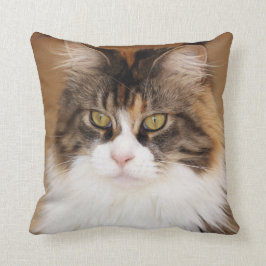 Fluffy Maine Coon Cat Kissen