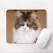 Fluffy Maine Coon Cat Mousepad (Mit Mouse)