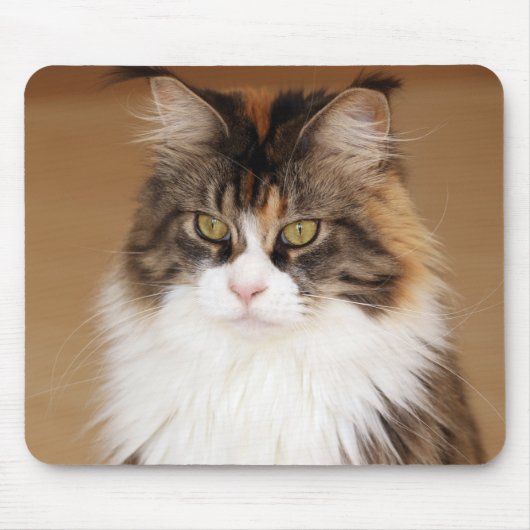 Fluffy Maine Coon Cat Mousepad (Vorne)