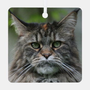 Fluffy Maine Coon Cat Ornament Aus Metall