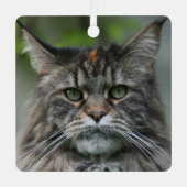 Fluffy Maine Coon Cat Ornament Aus Metall (Vorderseite)