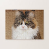 Fluffy Maine Coon Cat Puzzle (Horizontal)