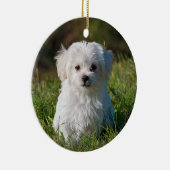 Fluffy Maltese Puppy Dog Keramik Ornament (Rechts)