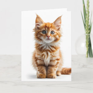 Fluffy Orange Tabby Cat Blank Card Karte