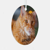 Fluffy Orange Tabby Maine Coon Cat Ornament Aus Metall (Vorderseite Rechts)