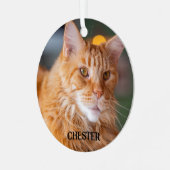 Fluffy Orange Tabby Maine Coon Cat Ornament Aus Metall (Vorderseite links)