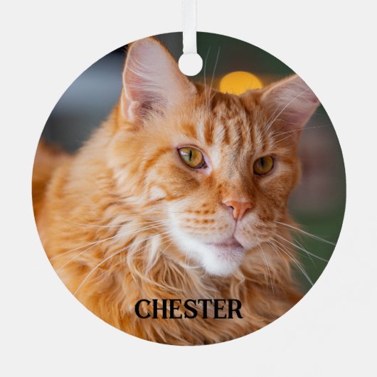 Fluffy Orange Tabby Maine Coon Cat Ornament Aus Metall (Rückseite)
