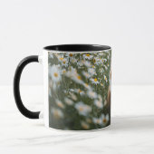 Fluffy Orange & White Cat in Daisy Field Coffee Mu Tasse (Links)