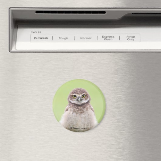 Fluffy Owlet Magnet (In Situ (Geschirrspüler))