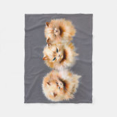 Fluffy Persian Cats Vintage Whimsical Art Throw Fleecedecke (Vorderseite)