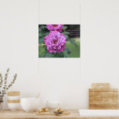 Fluffy Pink Roses Poster: ROSE & PROSE 20x16 Poster (Küche)