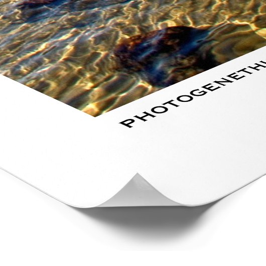 Fluffy Poster (Ecke)