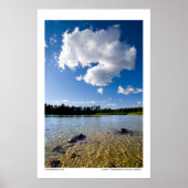 Fluffy Poster (Vorne)